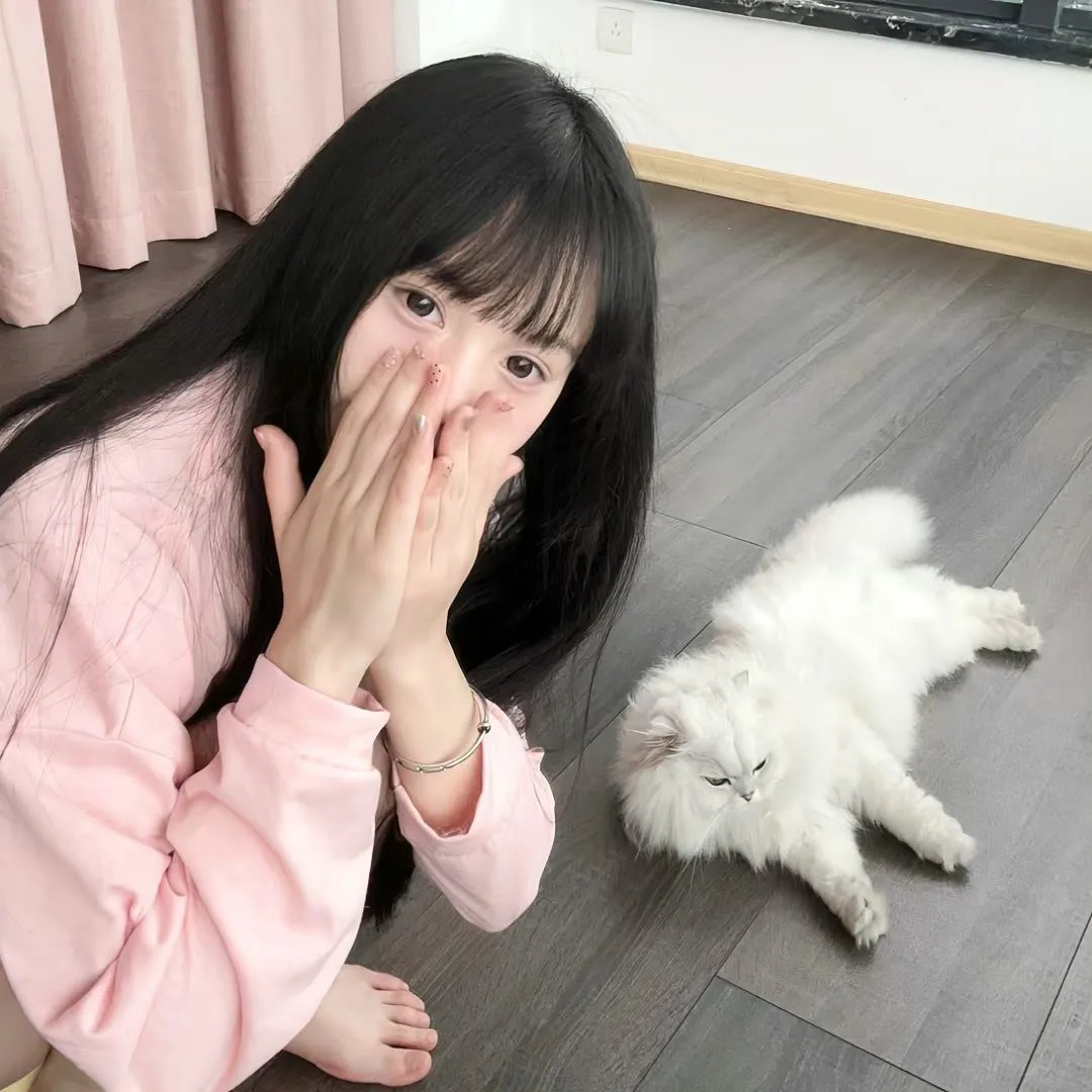 梅子鸡之味