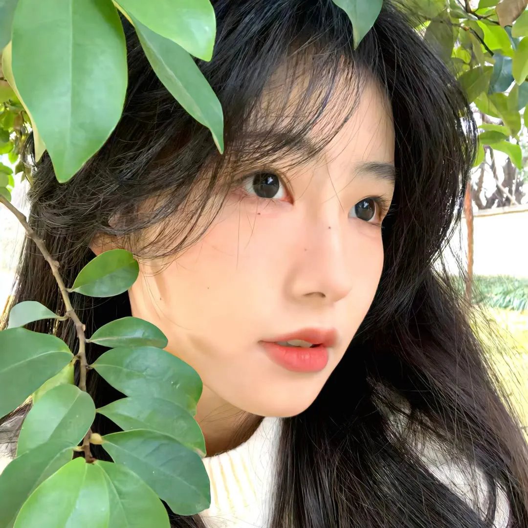 世界温柔的冷漠